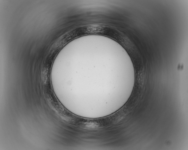 X0000110770741200907061118