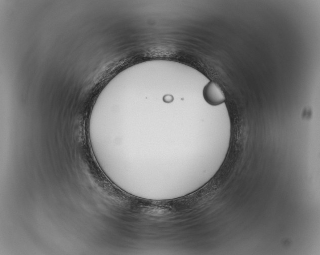 X0000110770743200907061118