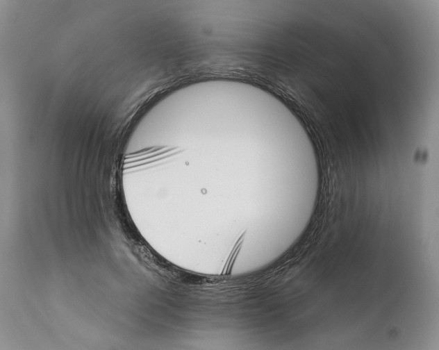 X0000110770744200907061118