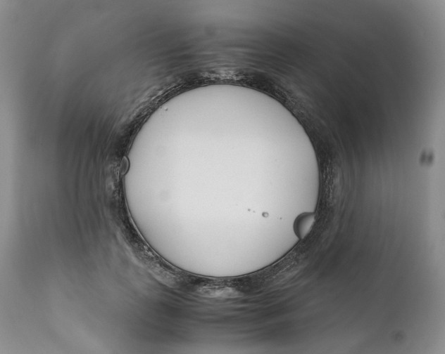 X0000110770747200907061118