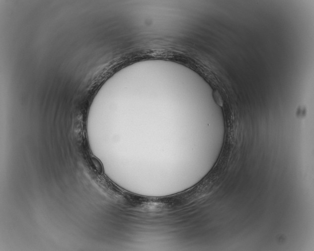 X0000110770748200907061118