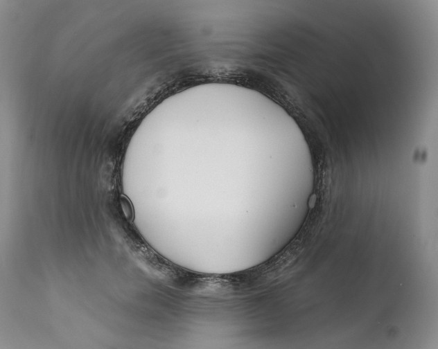 X0000110770750200907061118