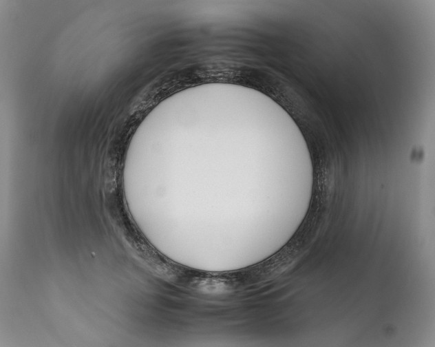 X0000110770751200907061118