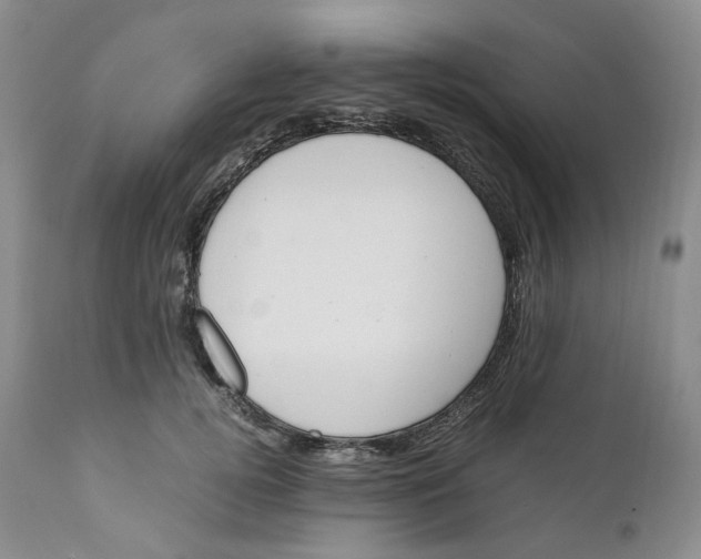 X0000110770752200907061118