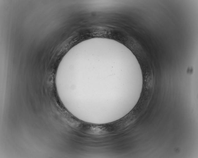 X0000110770753200907061118