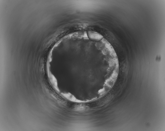 X0000110770754200907061118