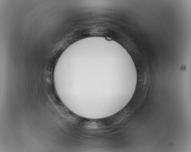 X0000110770755200907061118