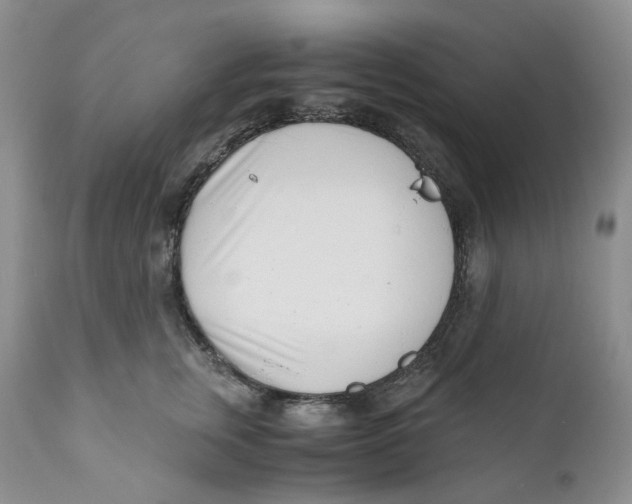 X0000110770759200907061118