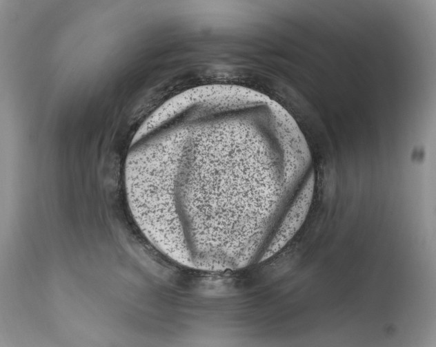 X0000110770760200907061118