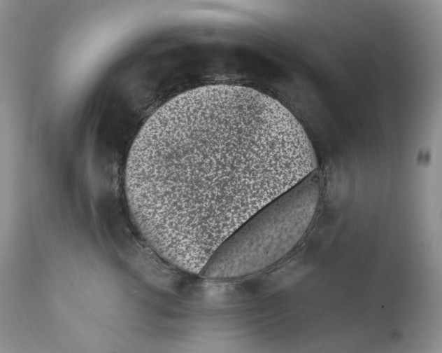 X0000110770762200907061119