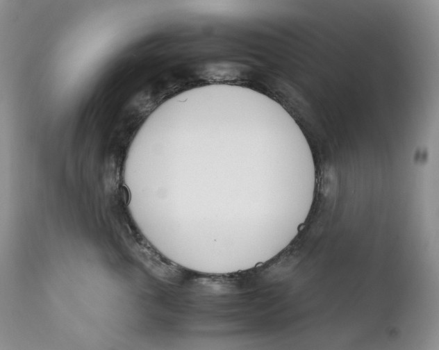 X0000110770763200907061119