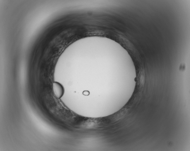 X0000110770764200907061119