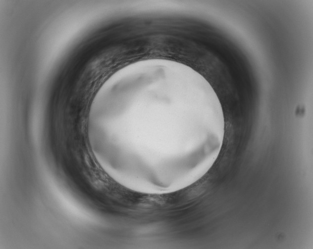 X0000110770765200907061119