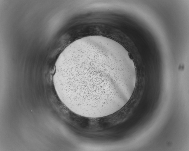 X0000110770766200907061119