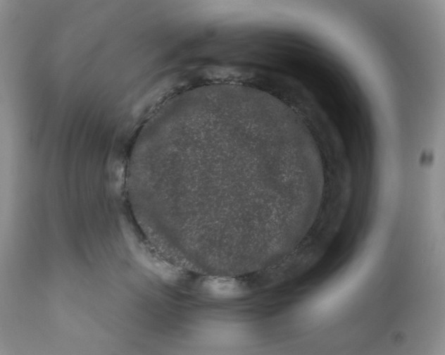 X0000110770767200907061119