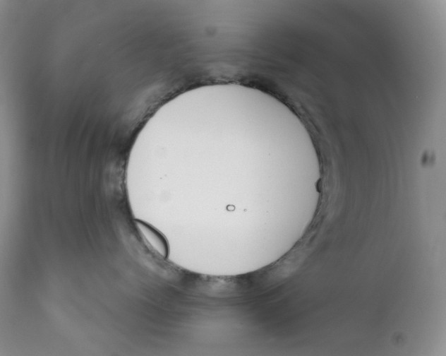 X0000110770768200907061119