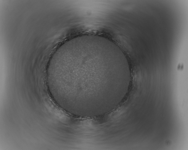 X0000110770769200907061118