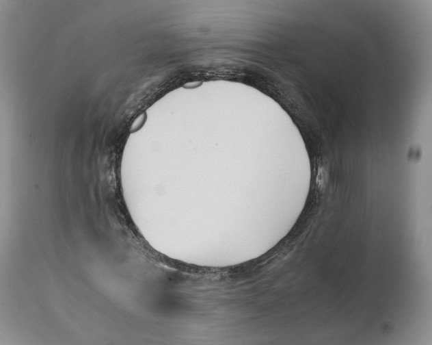 X0000110770771200907061118