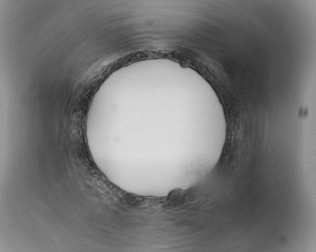 X0000110770773200907061118