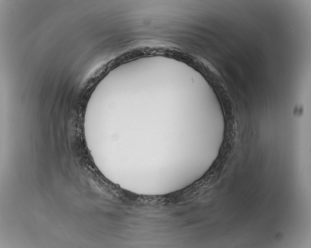 X0000110770775200907061117