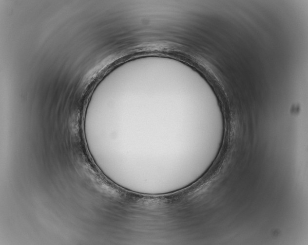 X0000110770778200907061117