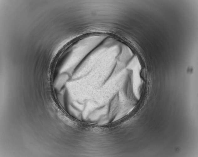 X0000110770779200907061117