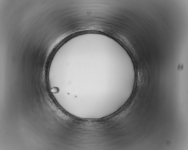 X0000110770780200907061117