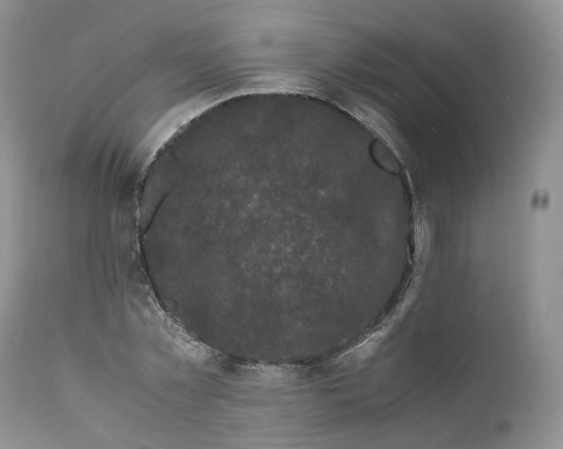 X0000110770781200907061117