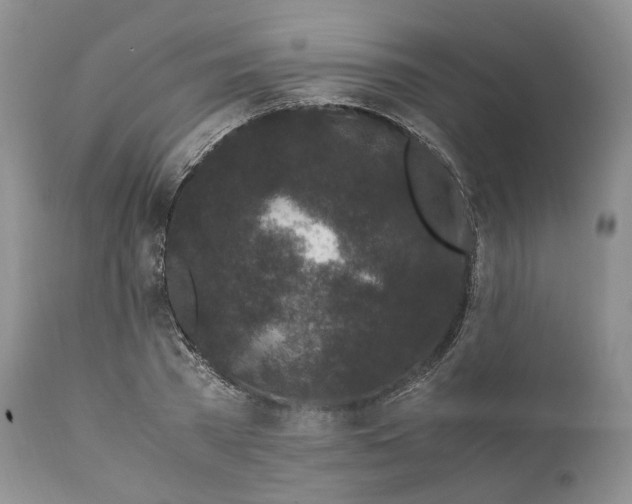 X0000110770785200907061117