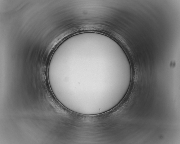 X0000110770786200907061117