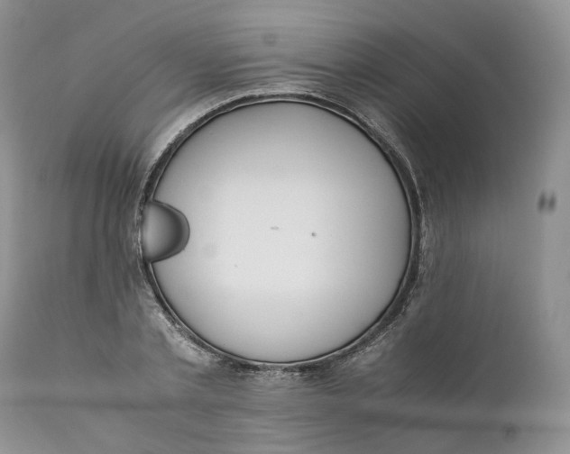 X0000110770789200907061117