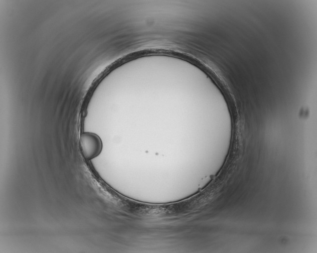 X0000110770791200907061117