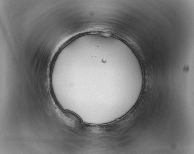 X0000110770792200907061117