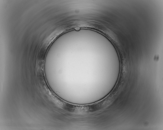 X0000110770793200907061117