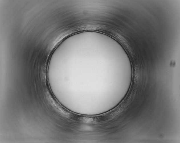 X0000110770794200907061117