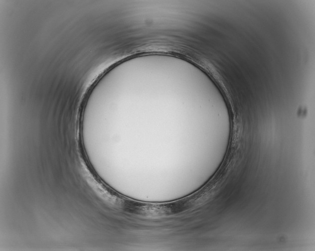 X0000110770795200907061117