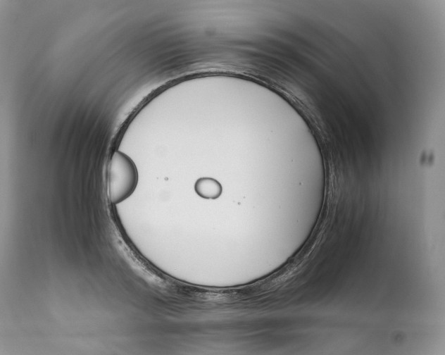 X0000110770796200907061117