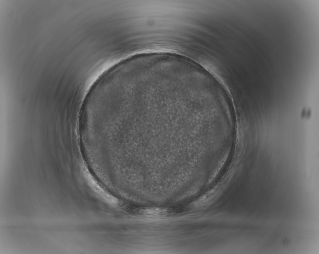 X0000110770797200907061117