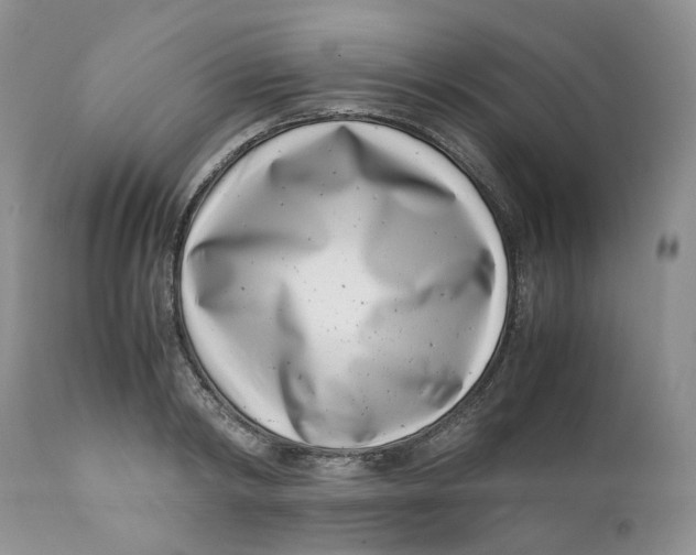 X0000110770798200907061117