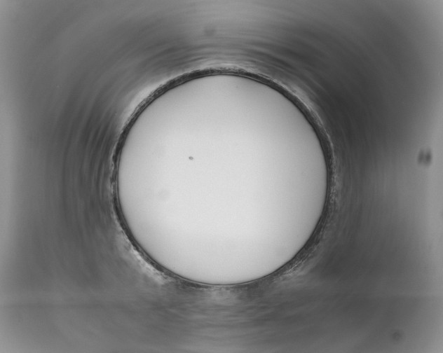 X0000110770799200907061117