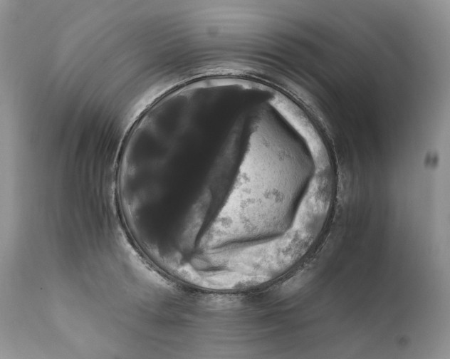 X0000110770802200907061117