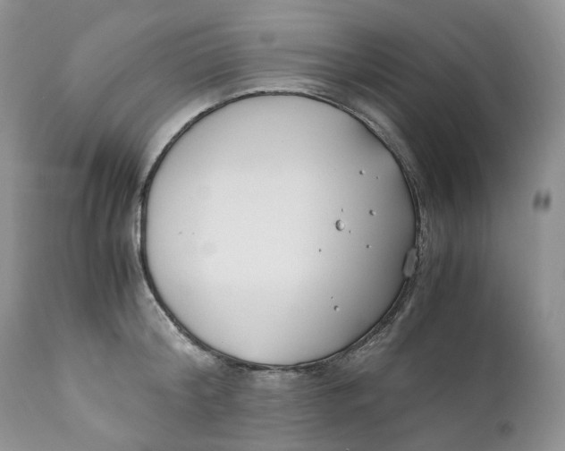 X0000110770804200907061117