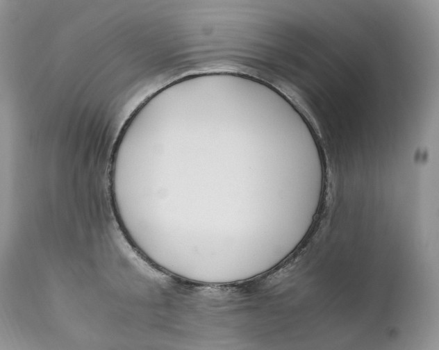 X0000110770805200907061117