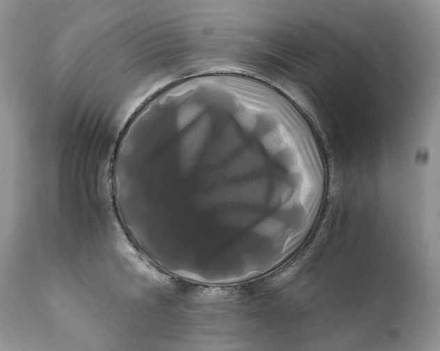 X0000110770806200907061117