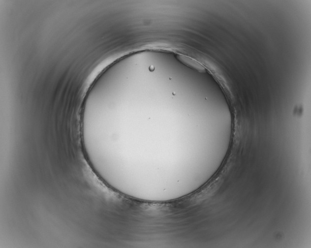 X0000110770808200907061117