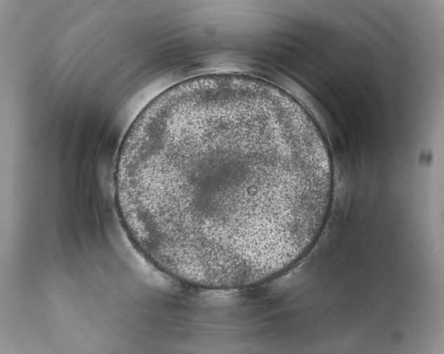 X0000110770810200907061117