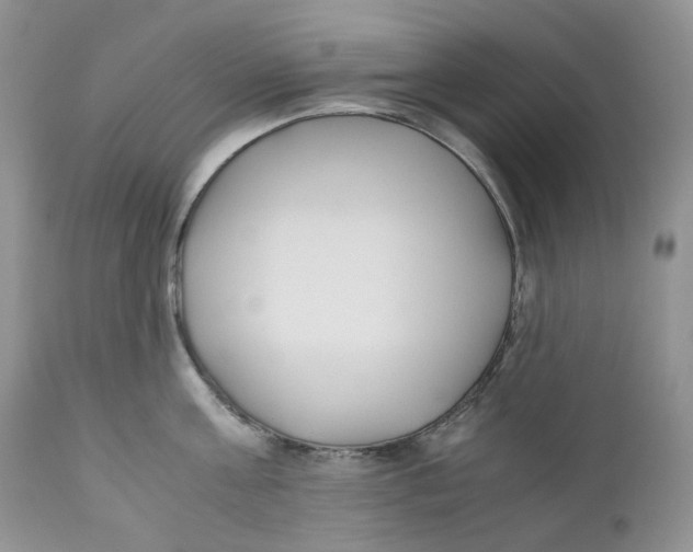 X0000110770811200907061117