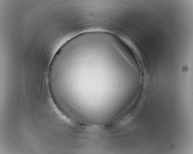 X0000110770813200907061117