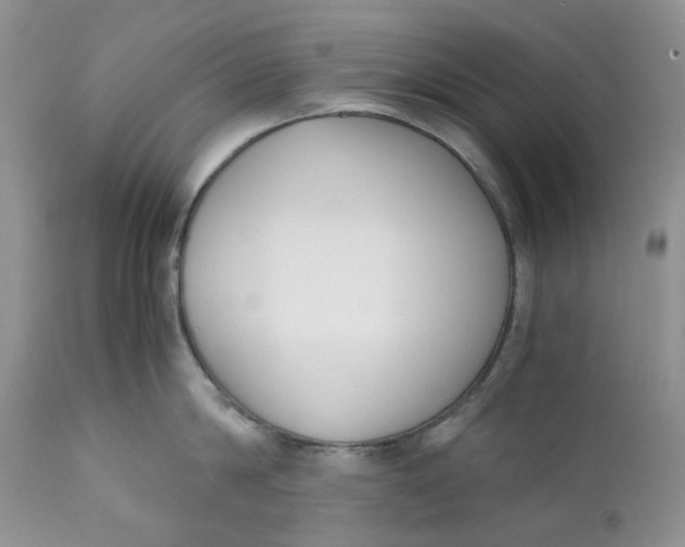 X0000110770814200907061117