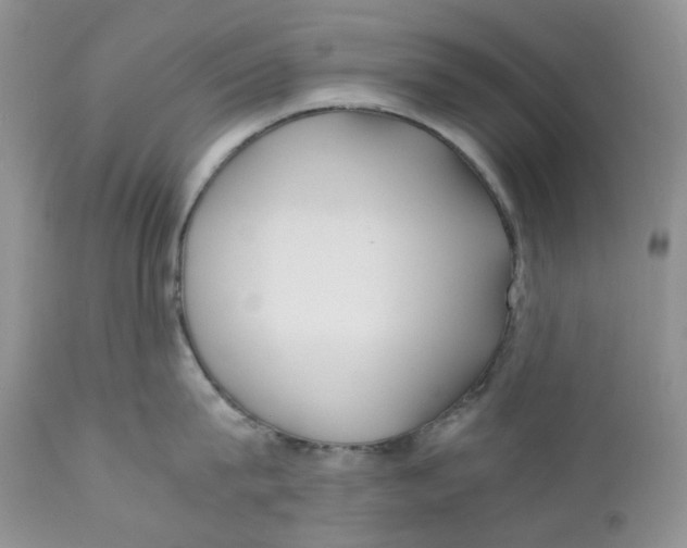 X0000110770815200907061117